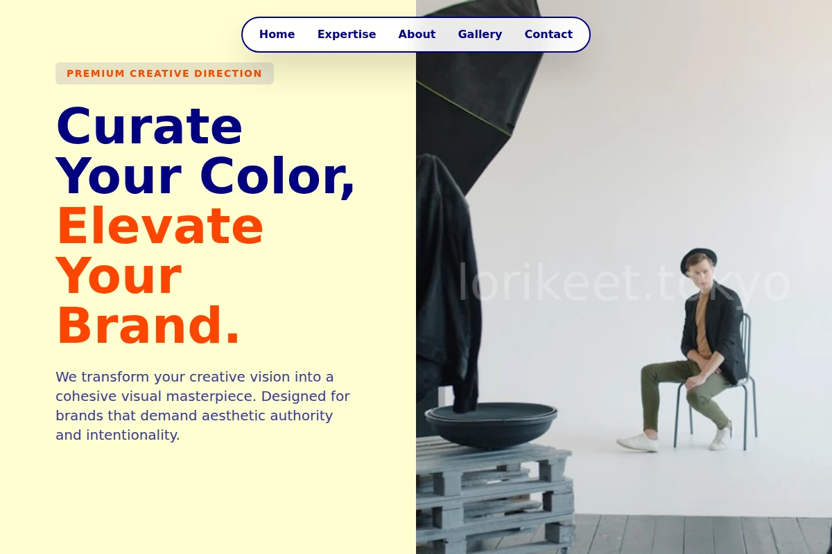 Curator Creative Direction